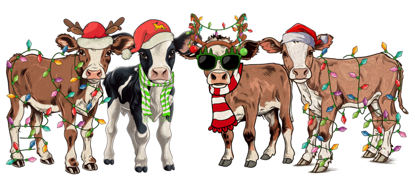 "Christmas Cows"